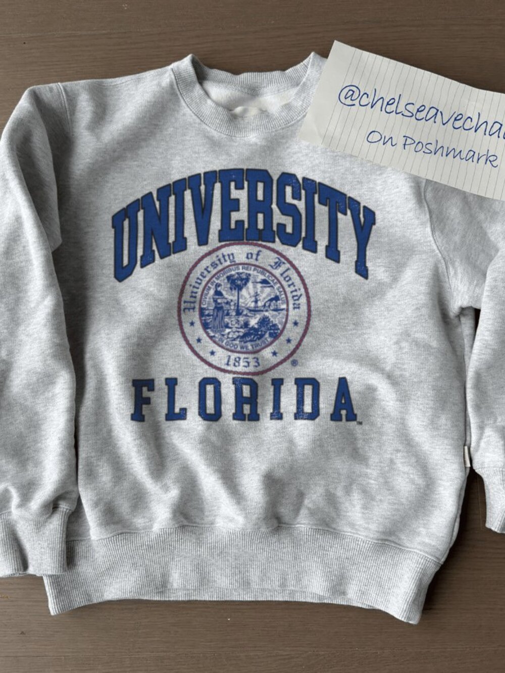 Vintage Florida University Sweatshirt, University of Florida, College Shirt Tee
